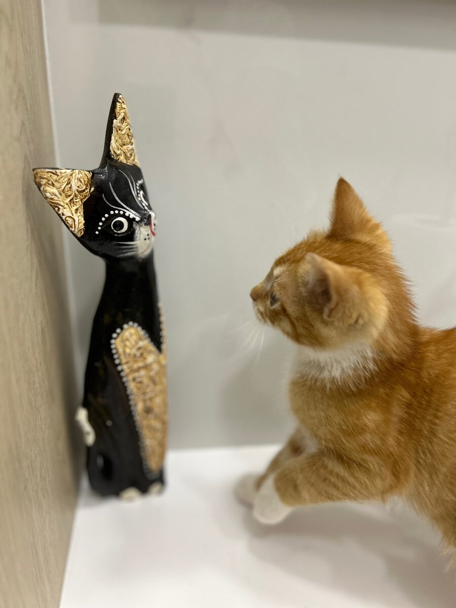 Ты кто такой?