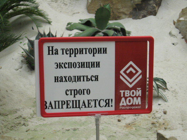 Фотография автора