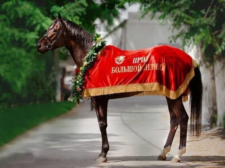 ФОТО: МИНСЕЛЬХОЗПРОД ДАГЕСТАНА 