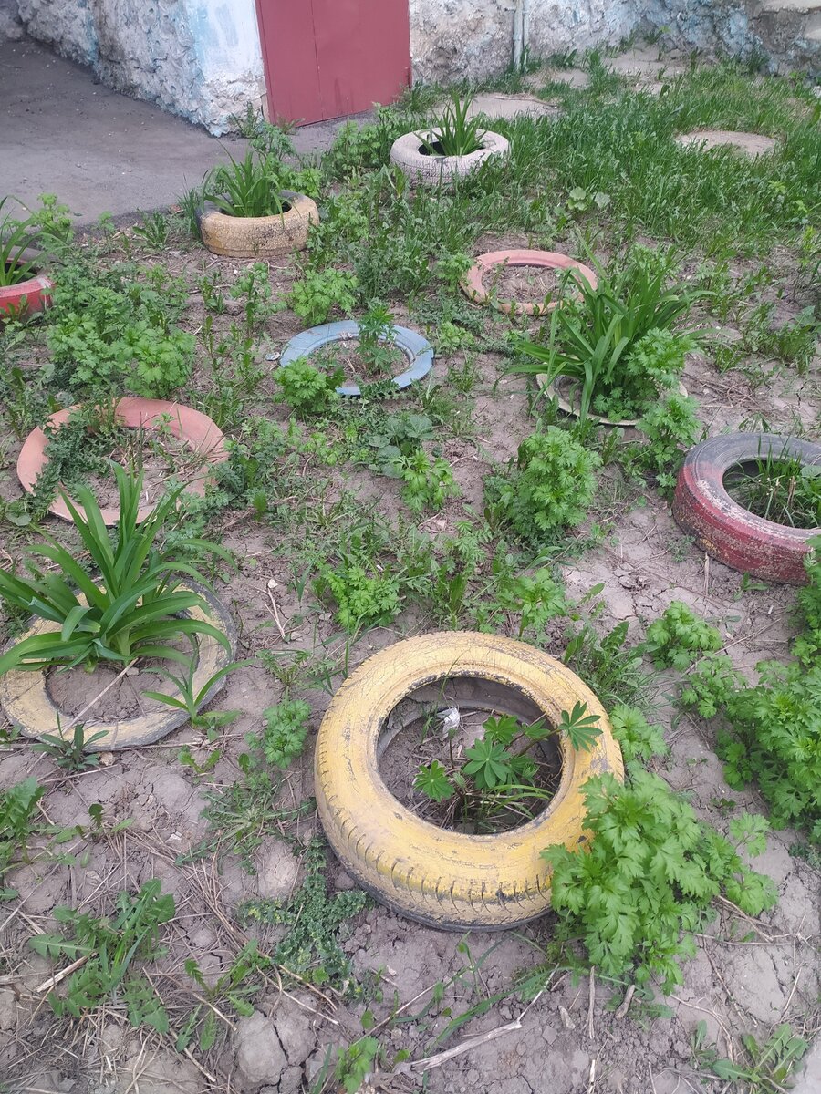 Цветники из автопокрышек – спорный, небезопасный, но пока единственный массовый способ утилизации использованных шин в рязанских дворах. Фото читателя