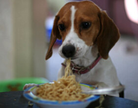 Фото с просторов 