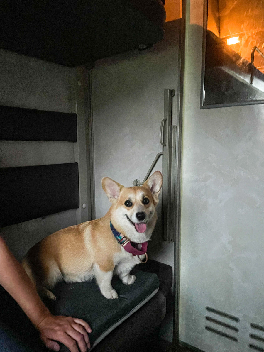 Первый раз на поезде-было интересно 😊