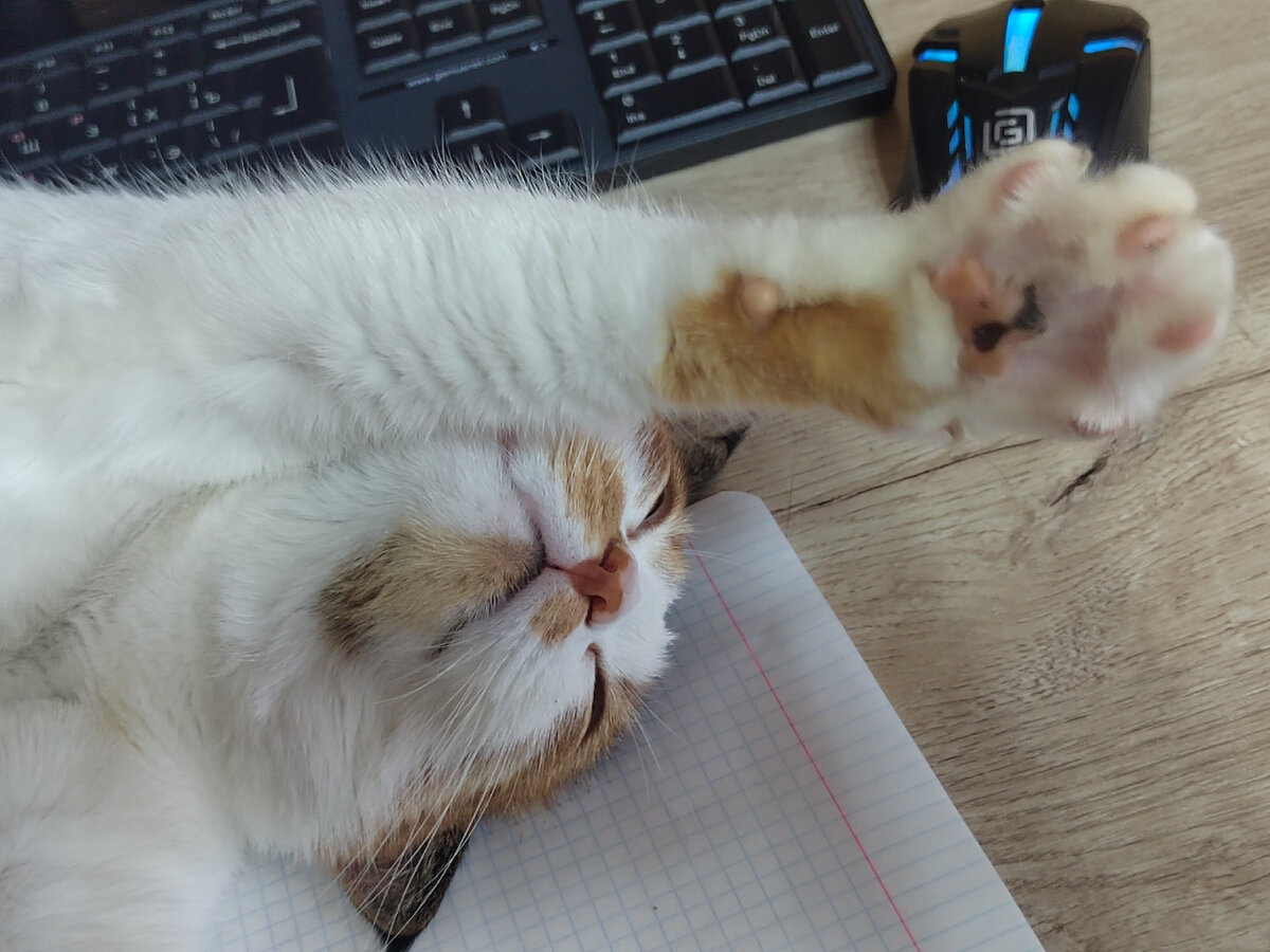 -2