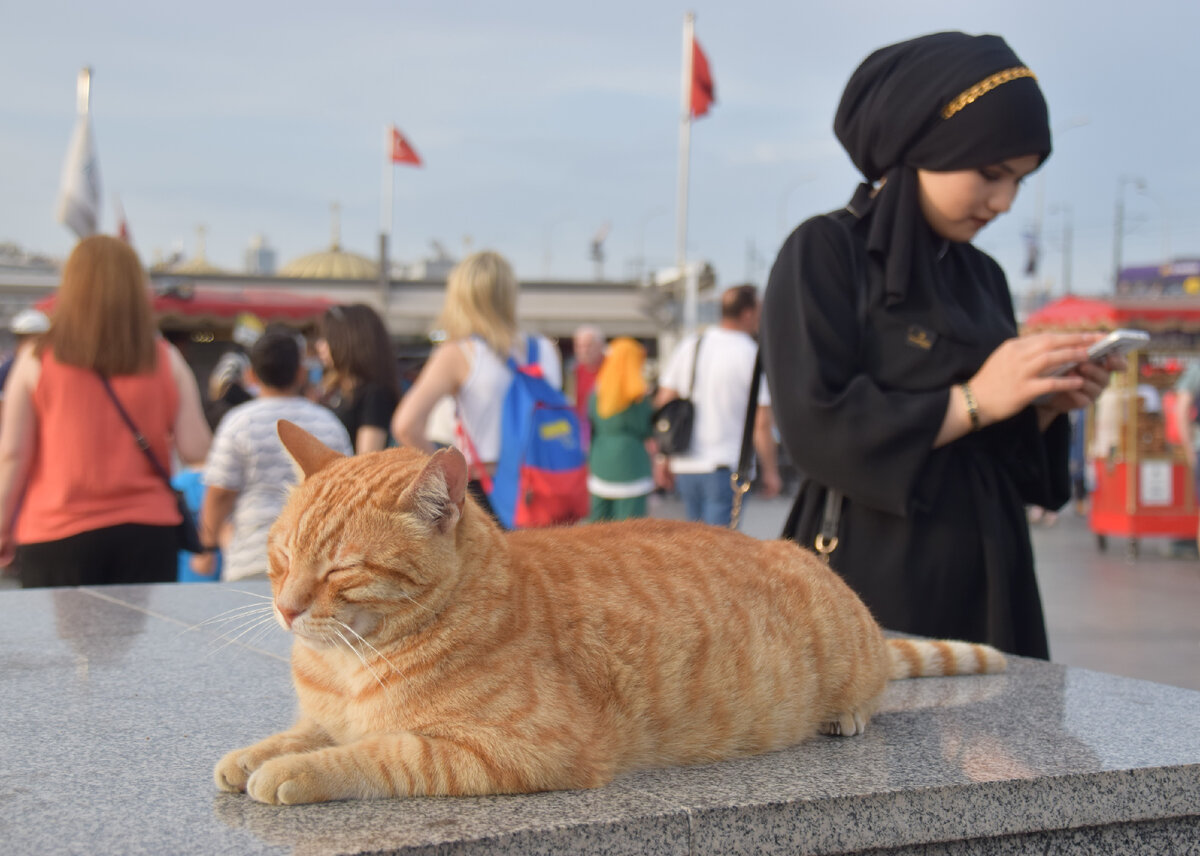 Может фото и не в тему. но оно мне очень нравится). Это кстати площадь Эминеню на выходе из подземного перехода от Египетского рынка. Место, которое точно лучше избегать в праздники
