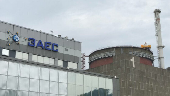    Главы "Росатома" и МАГАТЭ обсудили безопасность ЗАЭС Дмитрий Коптев