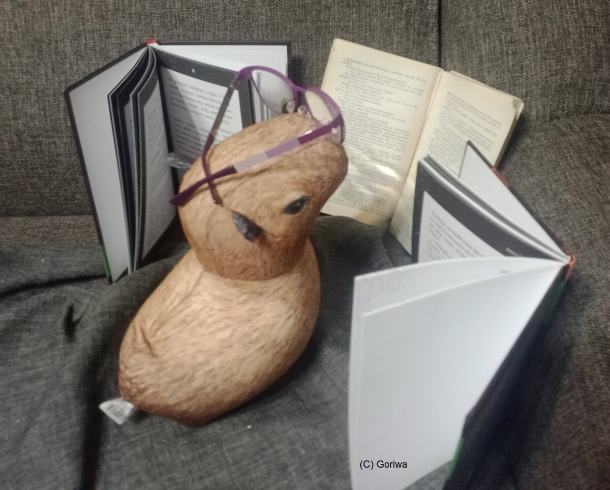 Дуся читает книги 