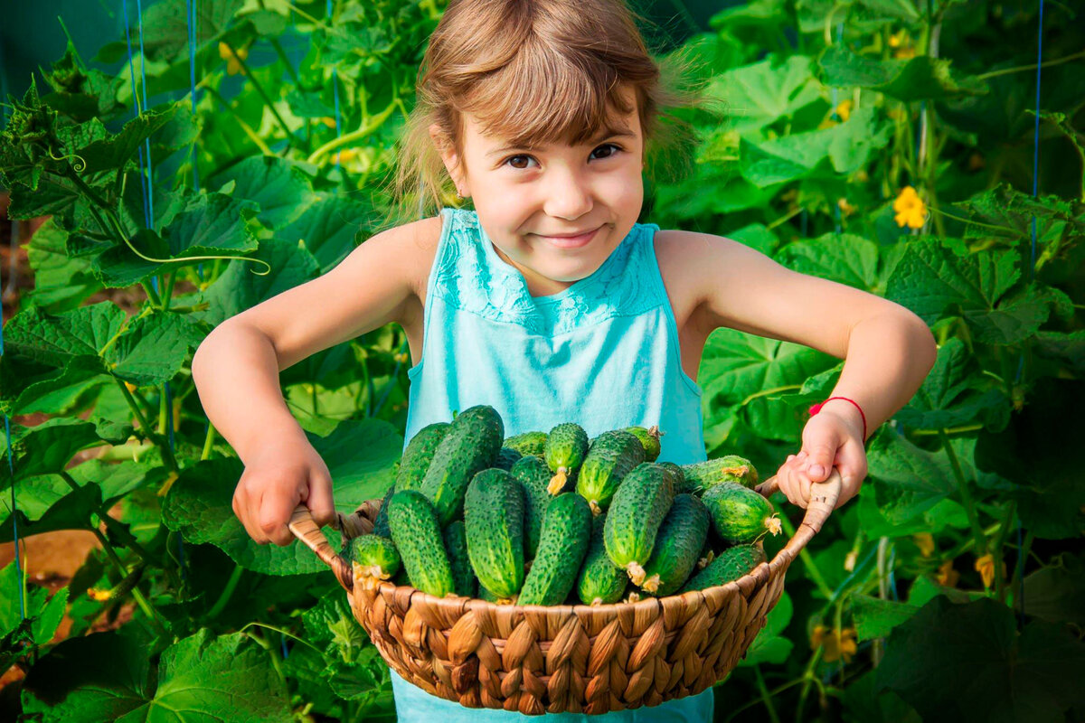 Как вам мой урожай?