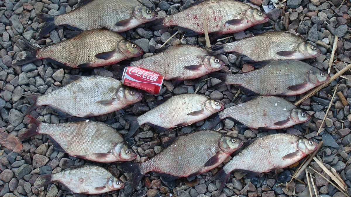 Фото: Яндекс.Картинки