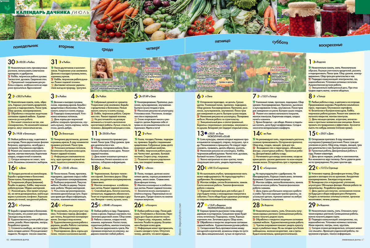 Календарь работ садовода. Календарь для работы. Календарь садовых работ. Календарь работ в огороде. Работы в саду календарь работ.