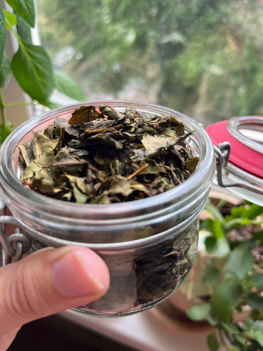 Ферментированные вишнёвые листья 