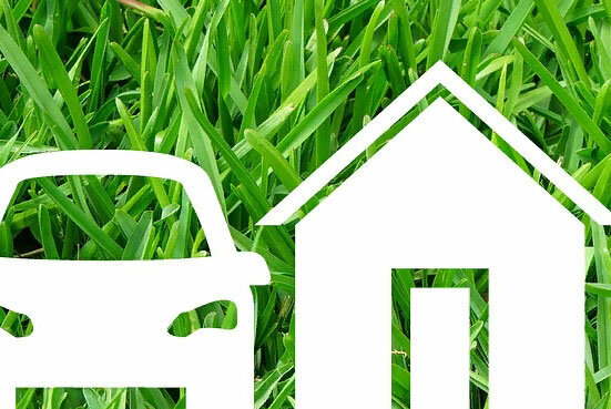 Фото: pixabay.com