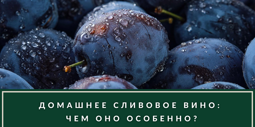 Вино из сливы: почему это ненастоящее вино и в чём особенности его приготовления?