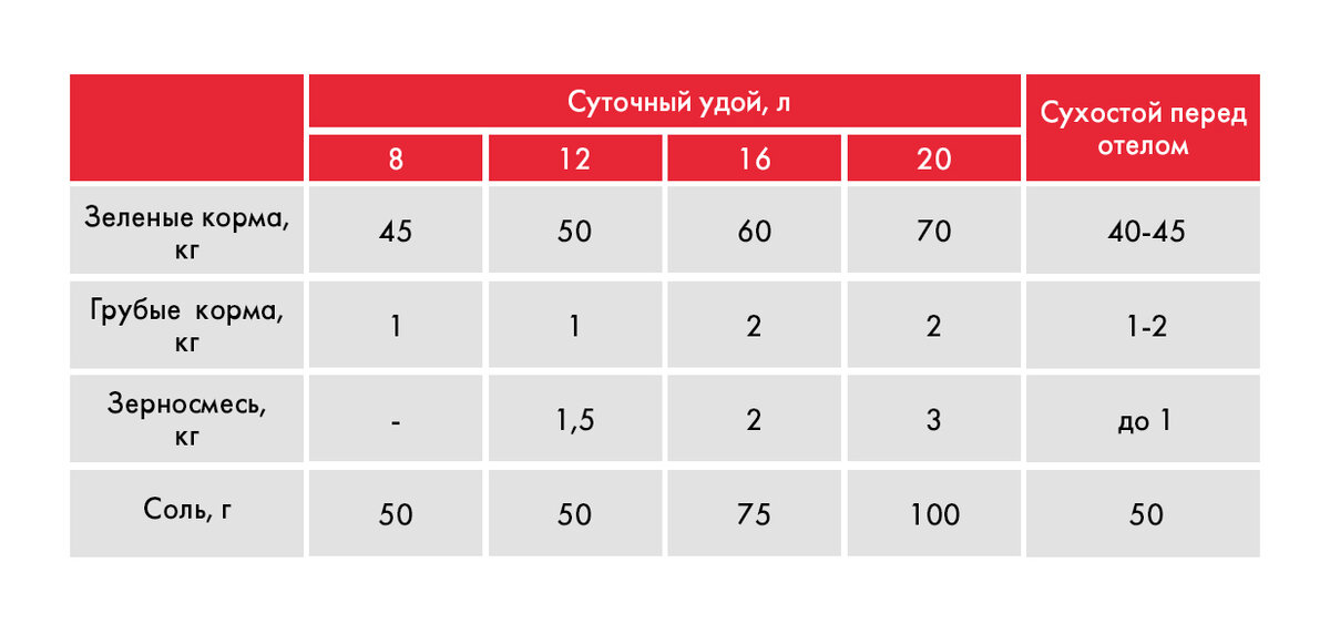 сколько сухого корма давать 1. сколько корма давать котенку в 5 месяцев. сколько корма нужно котенку. норма еды для котенка 9 месяцев. сколько корма давать котенку в 4 месяца.