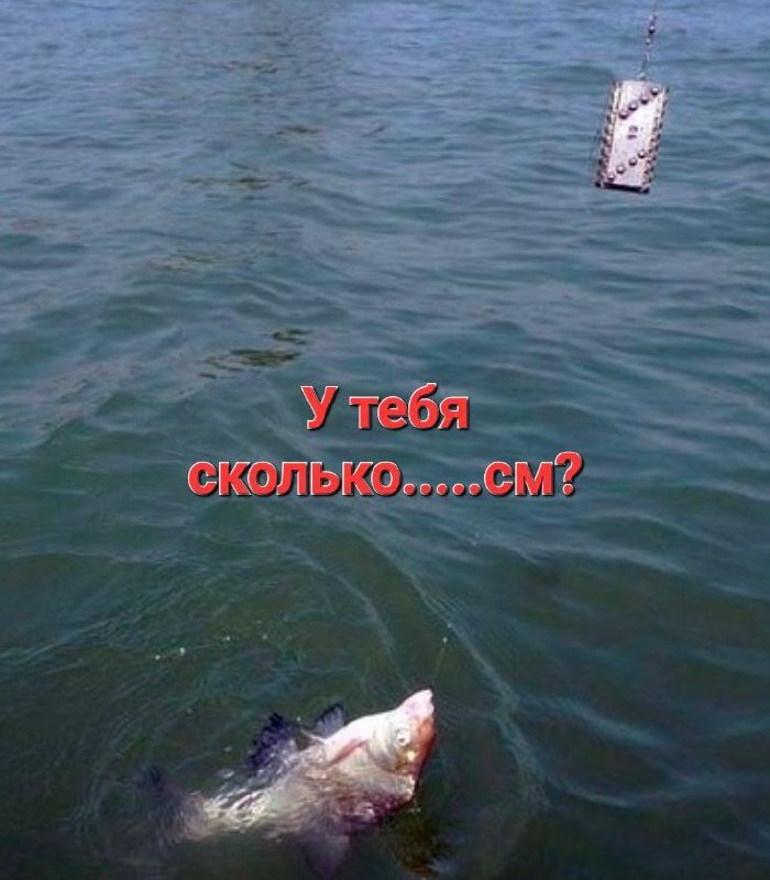 Ничего пошлого - просто юмор!