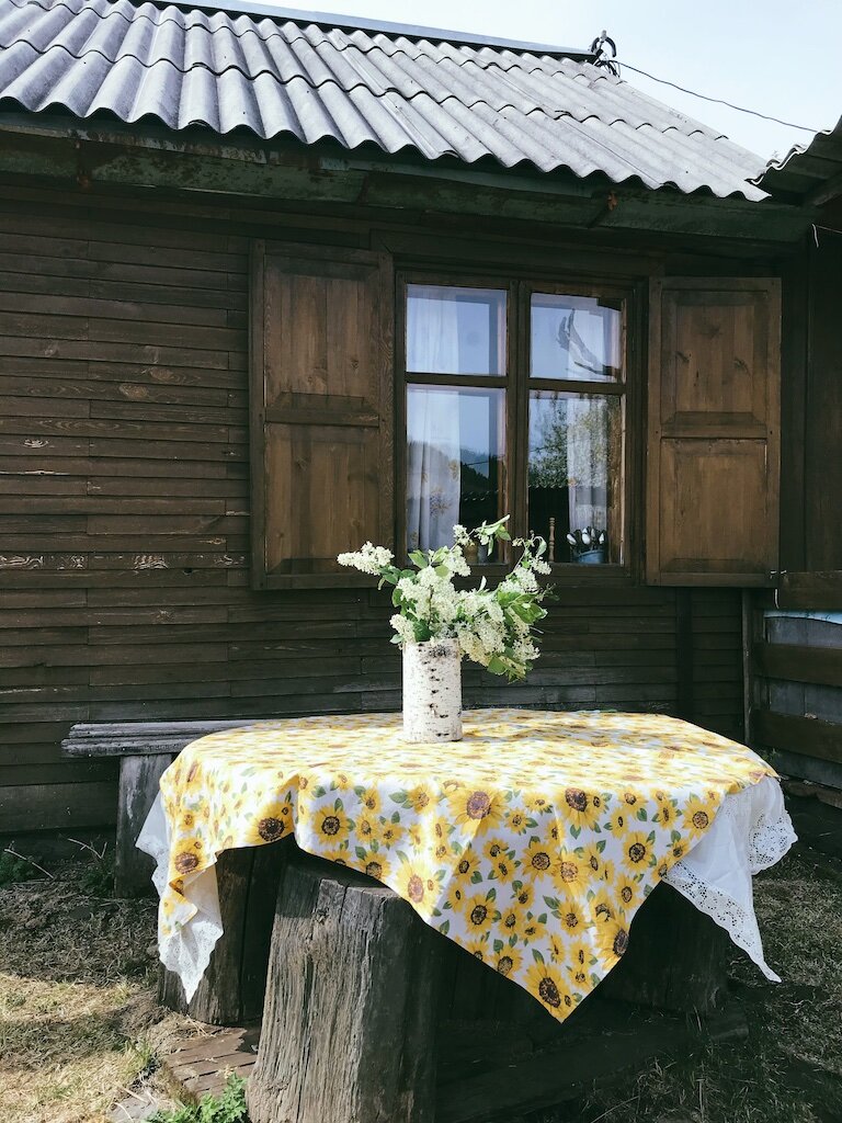 Нижний Кочергат: байкальская деревня, где можно пить воздух | Первый  Байкальский. Путешествия и экология | Дзен