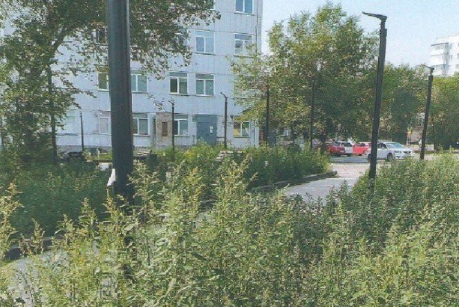 Фото: КСП Саяногорска 