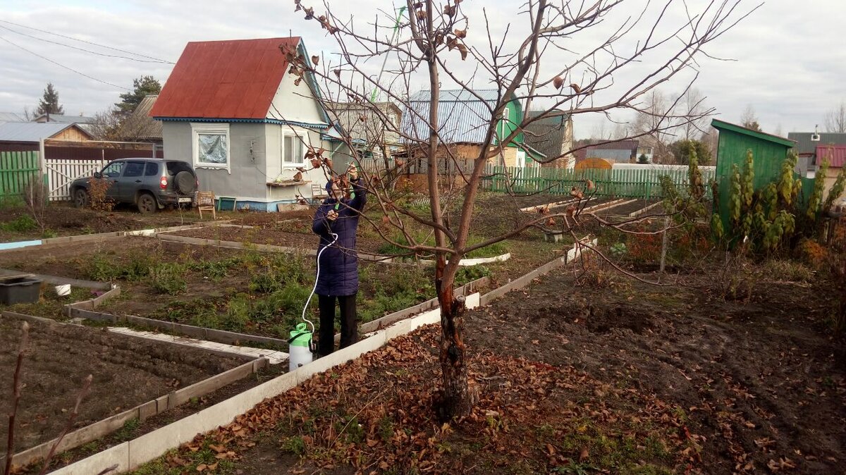Наша дача. 