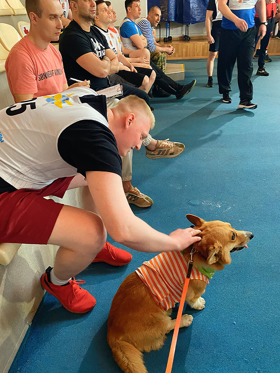 Время тренировок