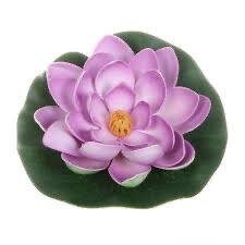 Классические кувшинки розовые белые 