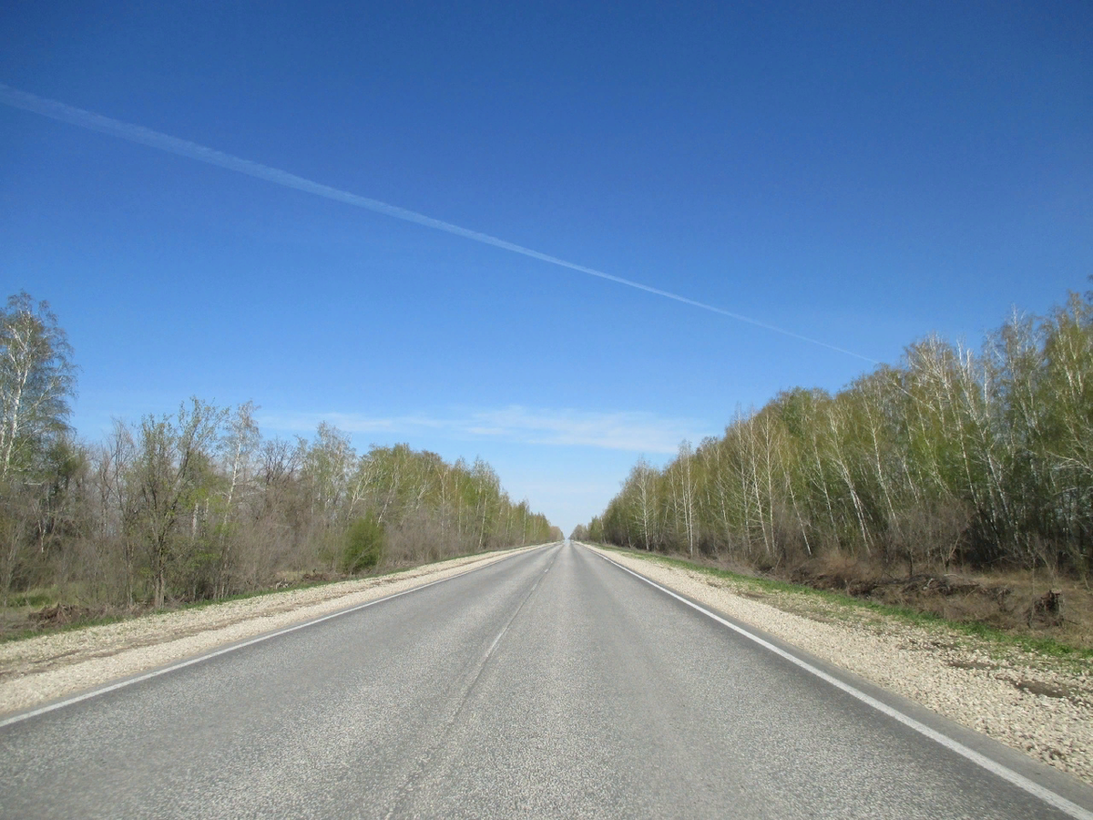 Дорога от Пугачева до Старой Порубежки.