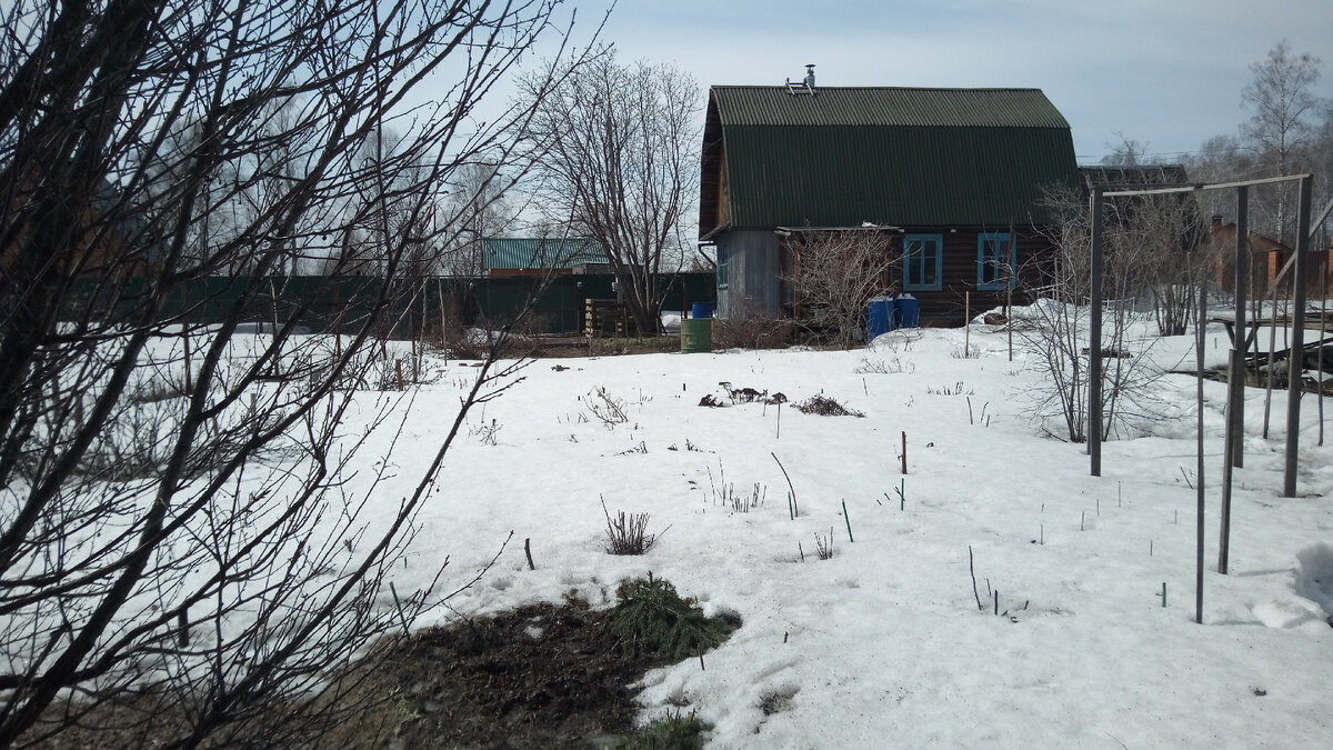 Сегодня