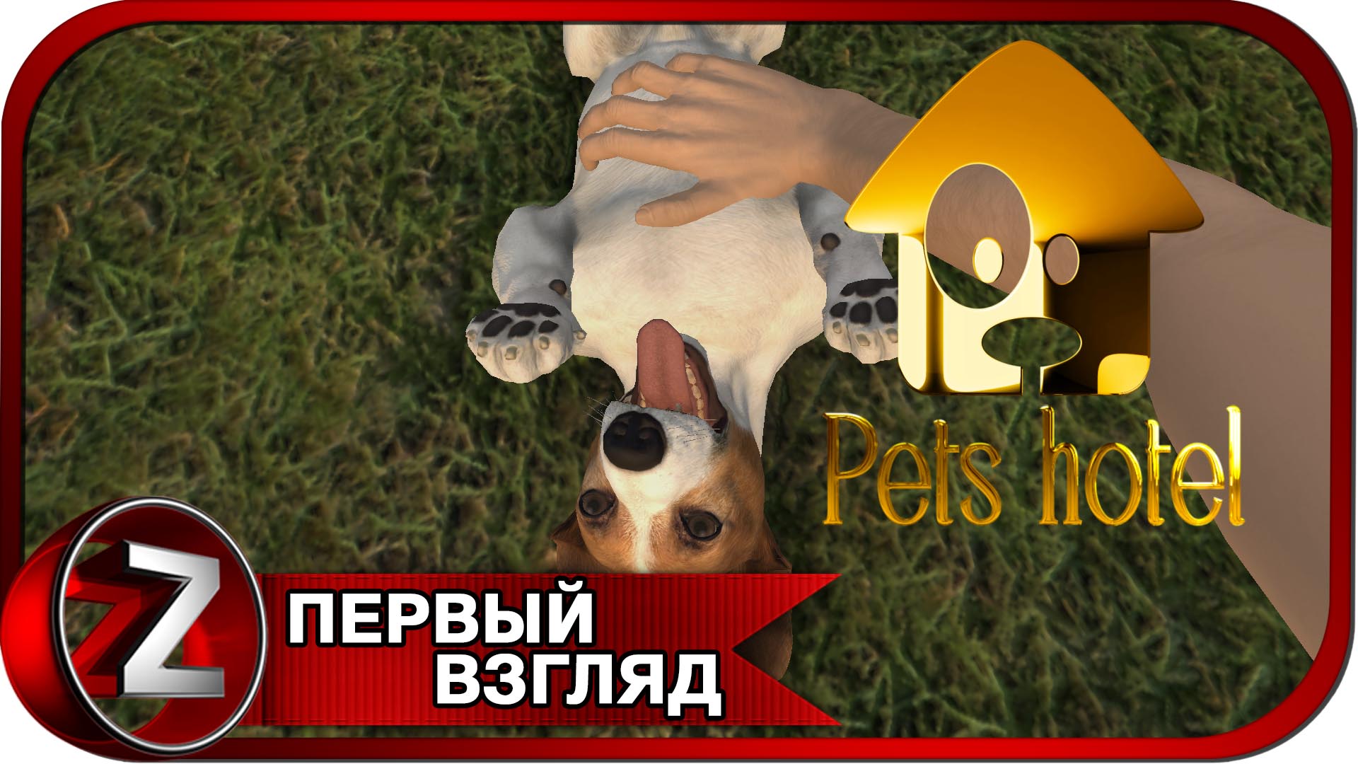 Pets Hotel ➤ Отель домашних животных ➤ Первый Взгляд