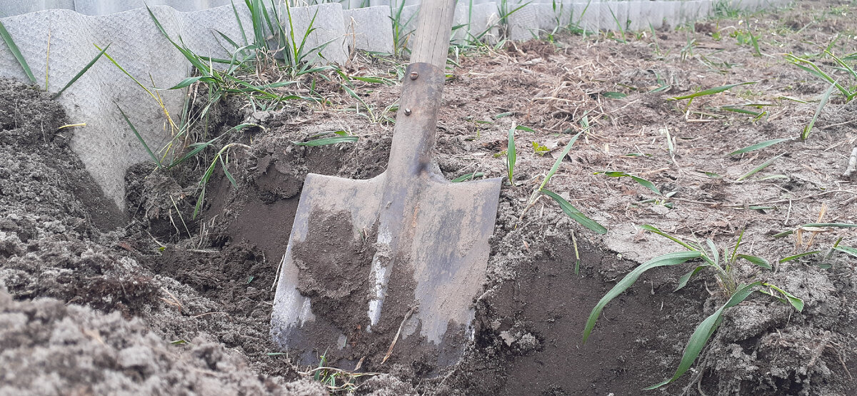 Другая сторона лопаты, если что. Фото сделано лично мной.