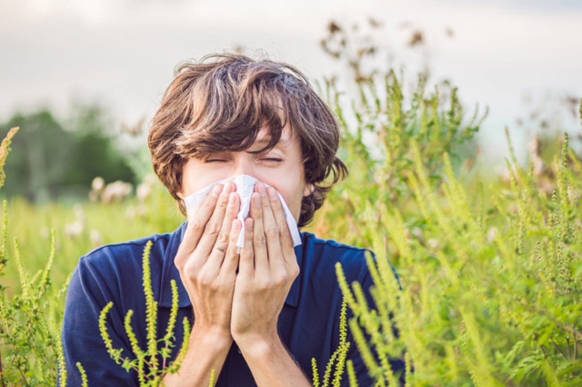    Плачем от березы. Кто чаще всего становится аллергиком?