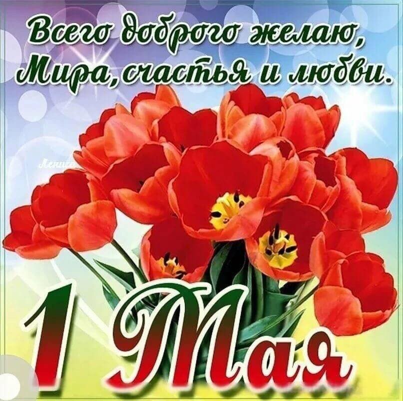 Такая вот открытка прислана мне, делюсь. 