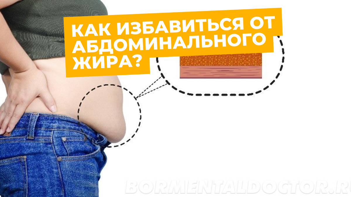 Висцеральный и абдоминальный тип ожирения. Абдоминальный и висцеральный жир. Как избавиться от абдоминального жира. Висцеральный жир и абдоминальный жир. Как избавиться от абдоминального жира.