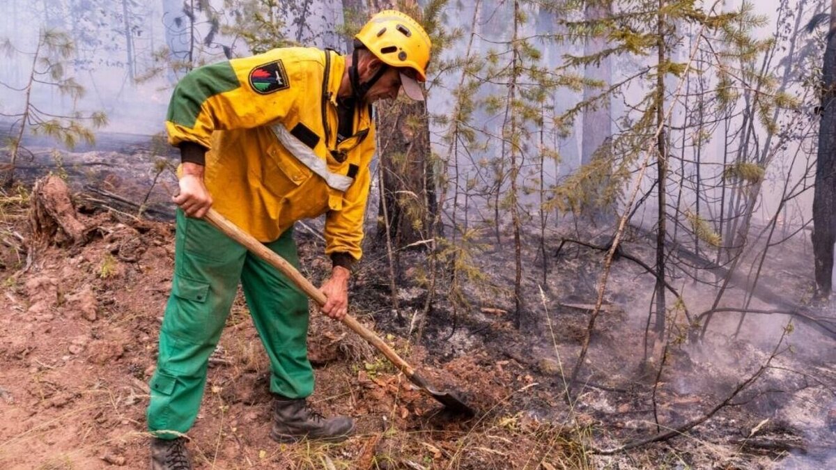     В МЧС рассказали о подробностях пожара на объездной в районе Тобольского тракта. Здесь горит сухая растительность на площади порядка 30 гектаров.