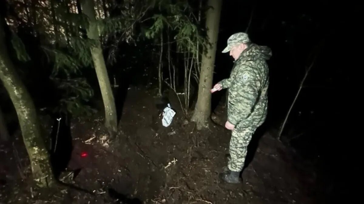 Фото: СК РФ по Санкт-Петербургу