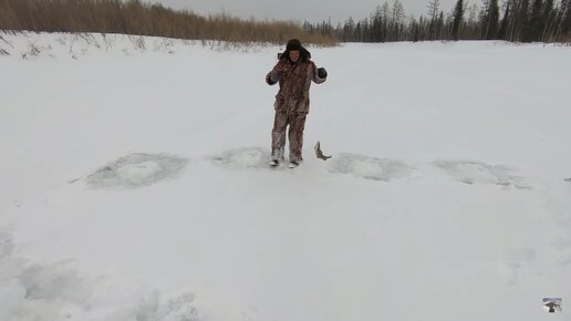 Выезд в Эвенкию на рыбалку за хариусом, сигом и щукой. Часть 4.