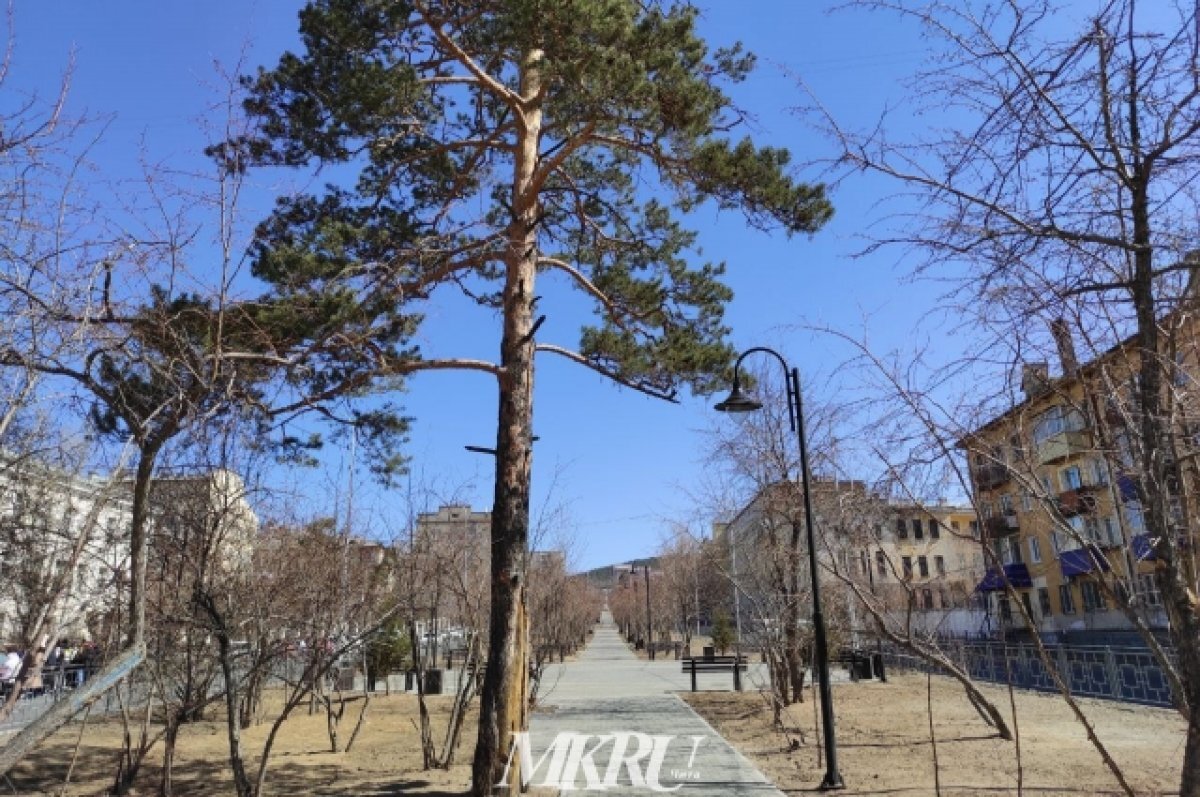    Сквозной проход по аллее Горького в Чите откроют только со светофорами