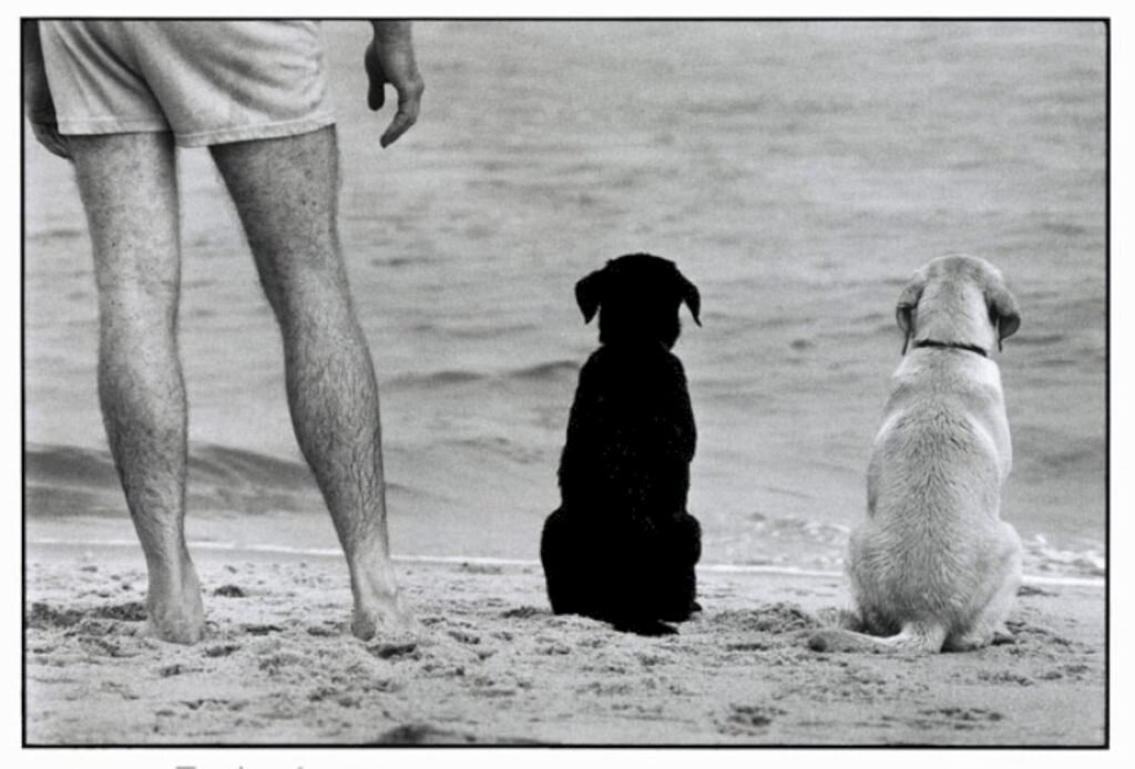    Фото: Elliott Erwitt