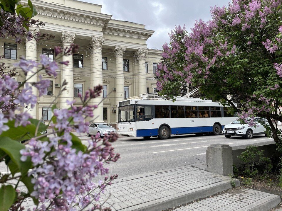    Транспорт Волгограда будет работать в особом режиме в День Победы. Екатерина СИМОХИНА