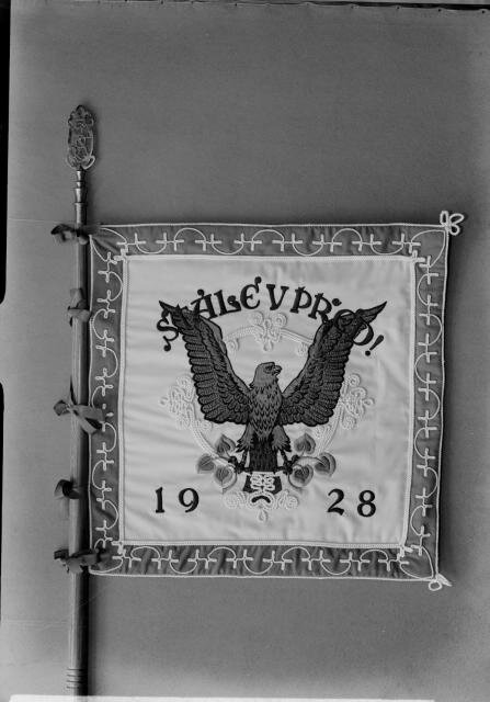 Эмблема общества Сокол.
Источник: https://sechtl-vosecek.ucw.cz/en/cml/desky/deska1922.html