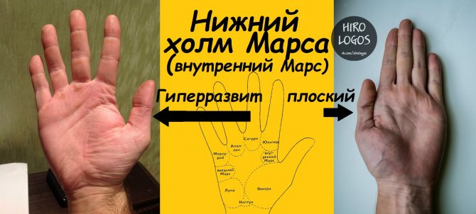 Крупный и плоский нижний холм Марса. 