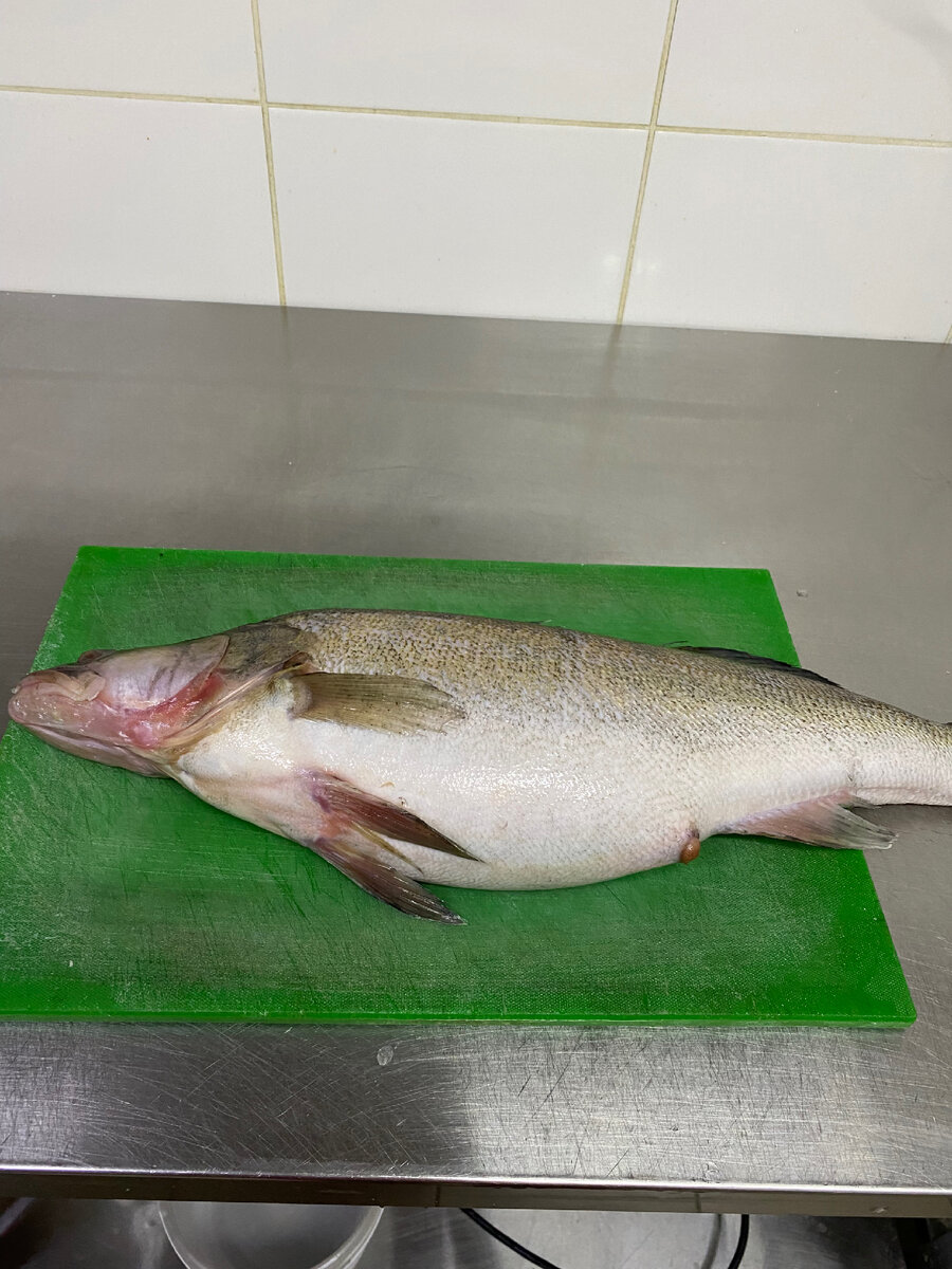 Судак 2,5-3кг.