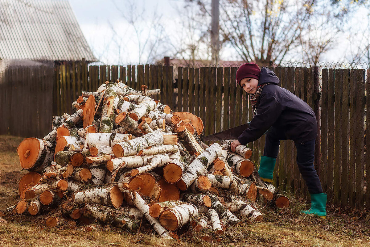 Фото с https://s-proms.ru/raznoe-2/rubit-drova-rubit-ili-kolot-drova-kak-pravilno.html