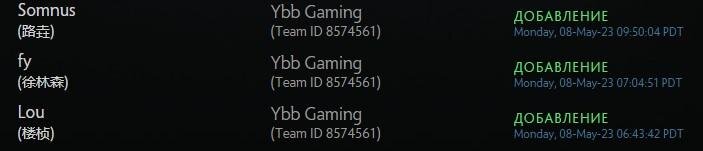     Ybb Gaming на сайте DPC