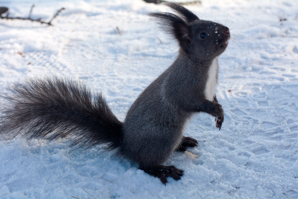 Фото из интернета