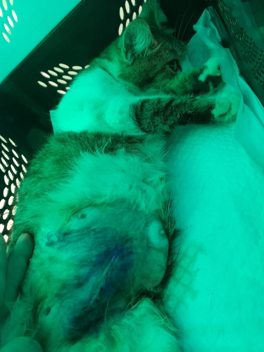 После операции