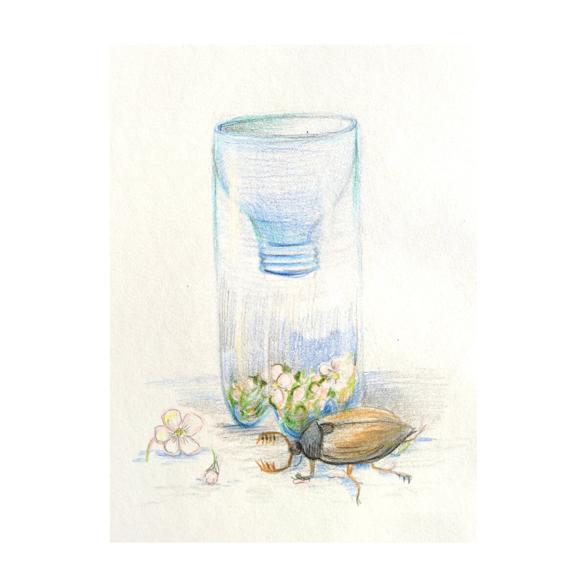 Иллюстратор Ксения Водолевская