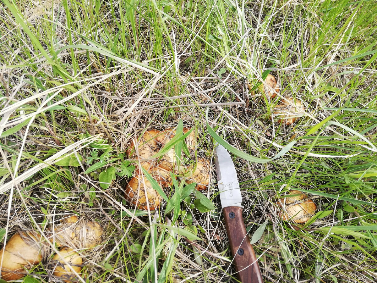 Фото Бориса Кисляка от 07.05.