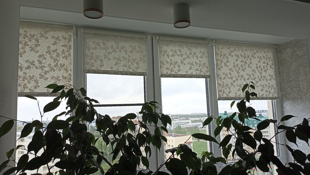 Окна на лоджии