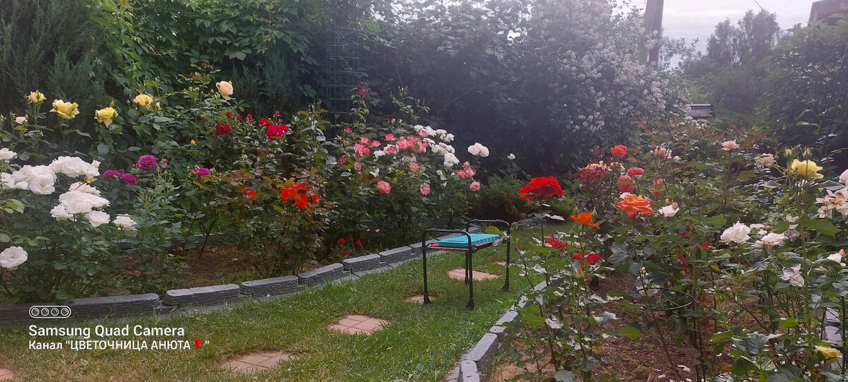 Рабочее место Цветочницы Анюты