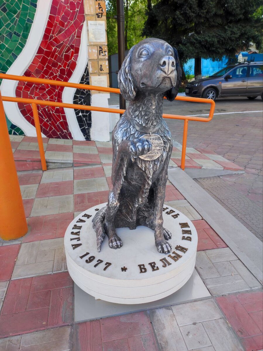 Памятник Белому Биму в Калуге. Источник — dzen.ru/pa_myatnik