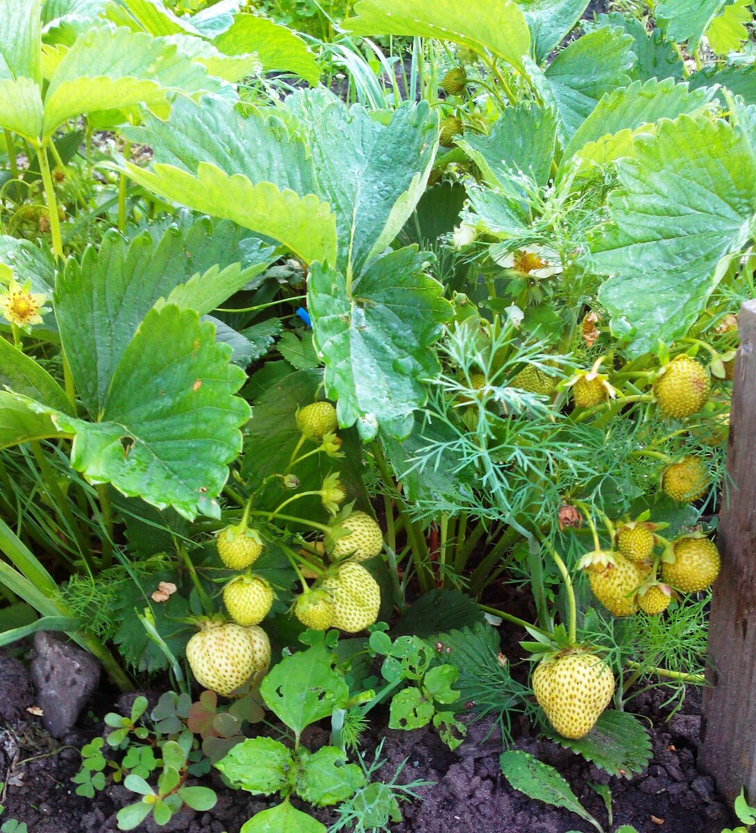 фото автора 11.06.22