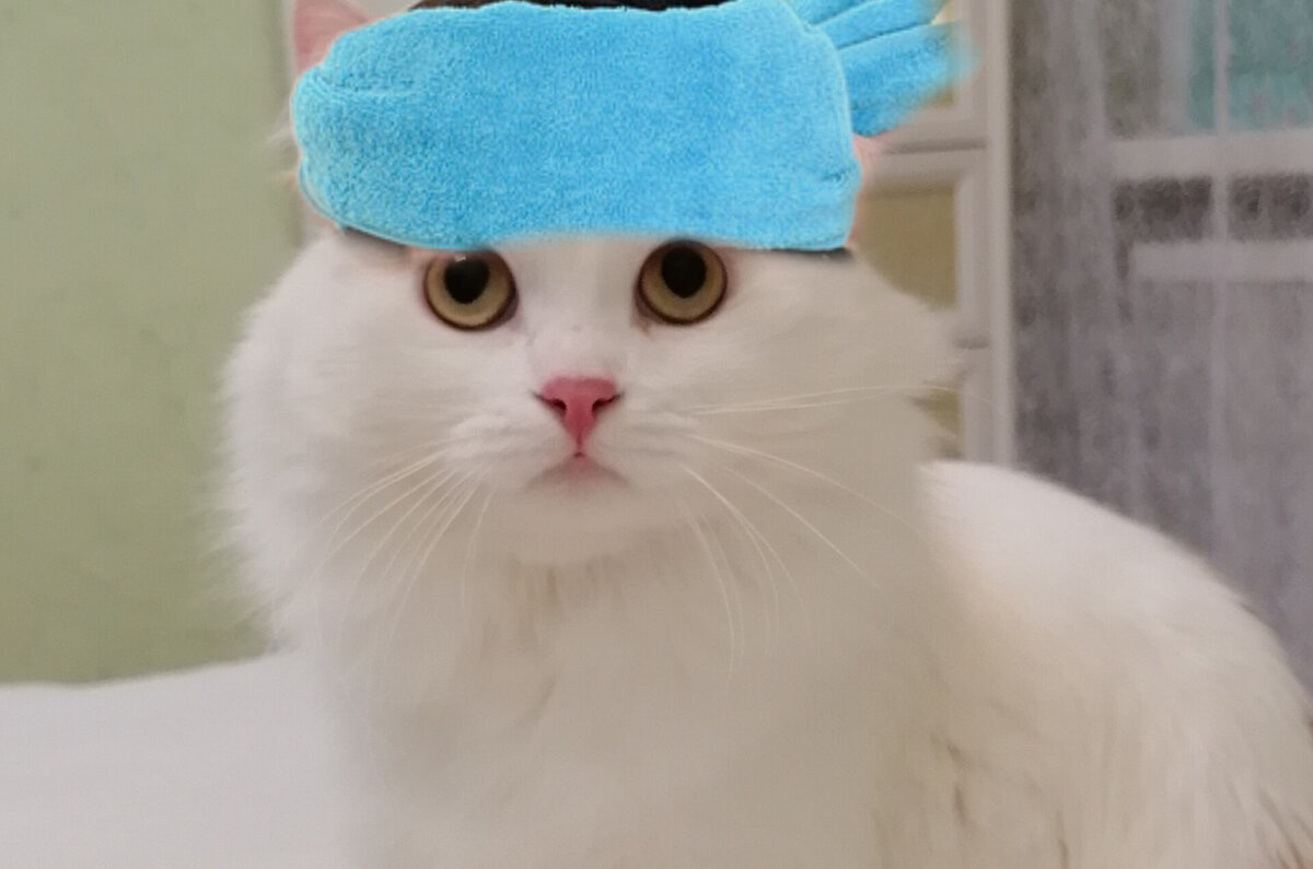 Коллаж автора. Я самый больной в мире.. кот. 